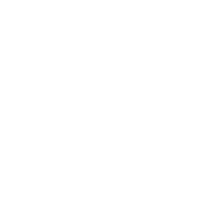 NTT Data